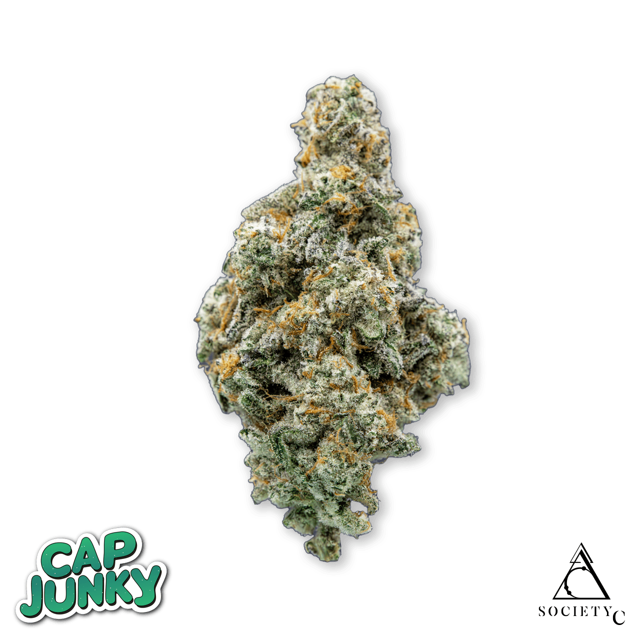 Society C - Society C | Cap Junky | Big Buds - 1