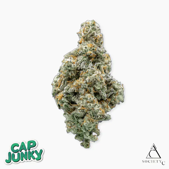 Society C - Society C | Cap Junky | Big Buds - 1