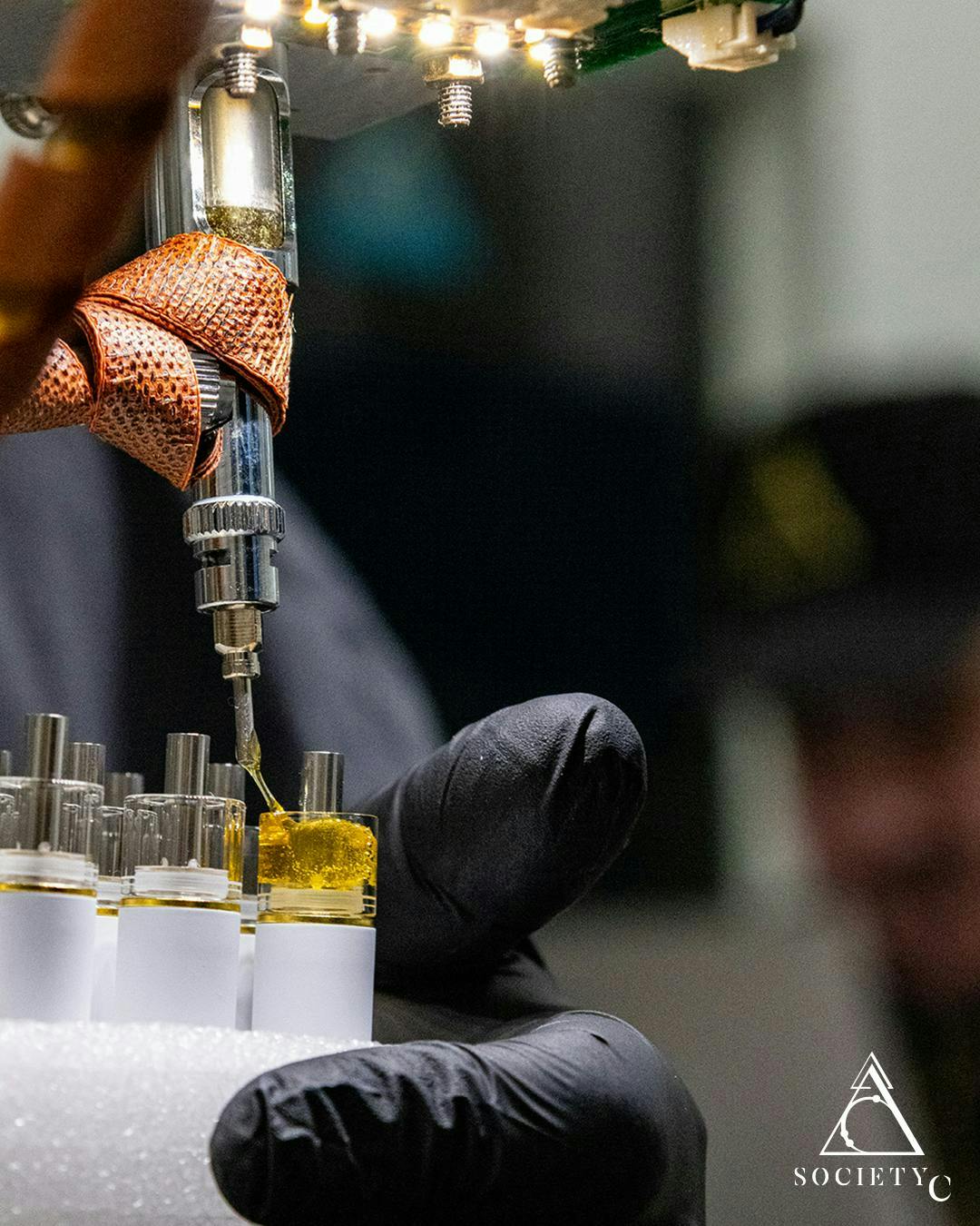 Society C - Society C | Cap Junky | Live Rosin Disposable | 0.5g - 1