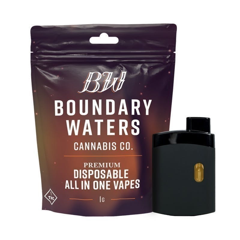 Boundary Waters - Peach Rings | Disposable | 1g - 1