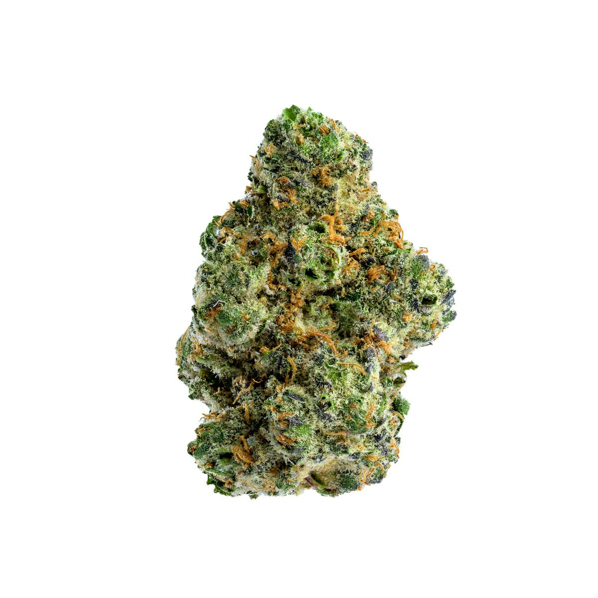 Gold Standard - RED TAFFY/ 7 GRAMS/ GOLD STANDARD - 1