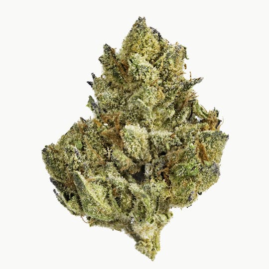 West Coast Cure - Carbon Cookies - 3.5G Premium Flower - 1