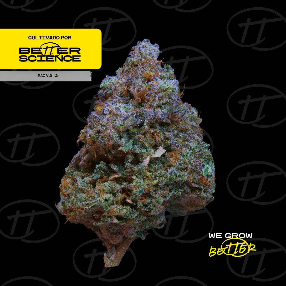 Better Science - BSC - Mac V2-2 - Flor - 1