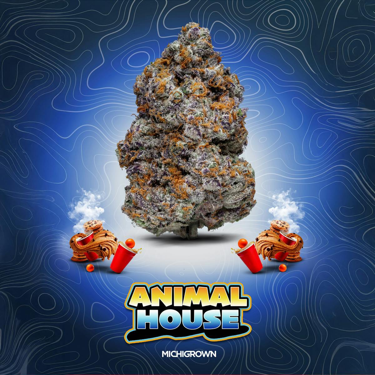 MICHIGROWN - ANIMAL HOUSE - 3.5 GRAMS - PREMIUM FLOWER - JARS - 1