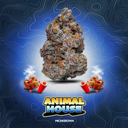 MICHIGROWN - ANIMAL HOUSE - 3.5 GRAMS - PREMIUM FLOWER - JARS - 1