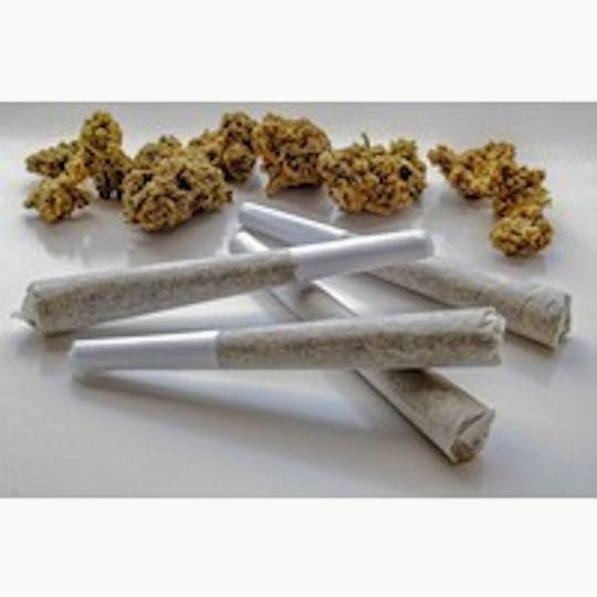 Mota New Mexico - Mota | 2pk Now and Later Preroll Pack - 1