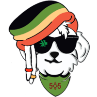 Mota New Mexico - Mota | 2pk Hemp Cones - 1