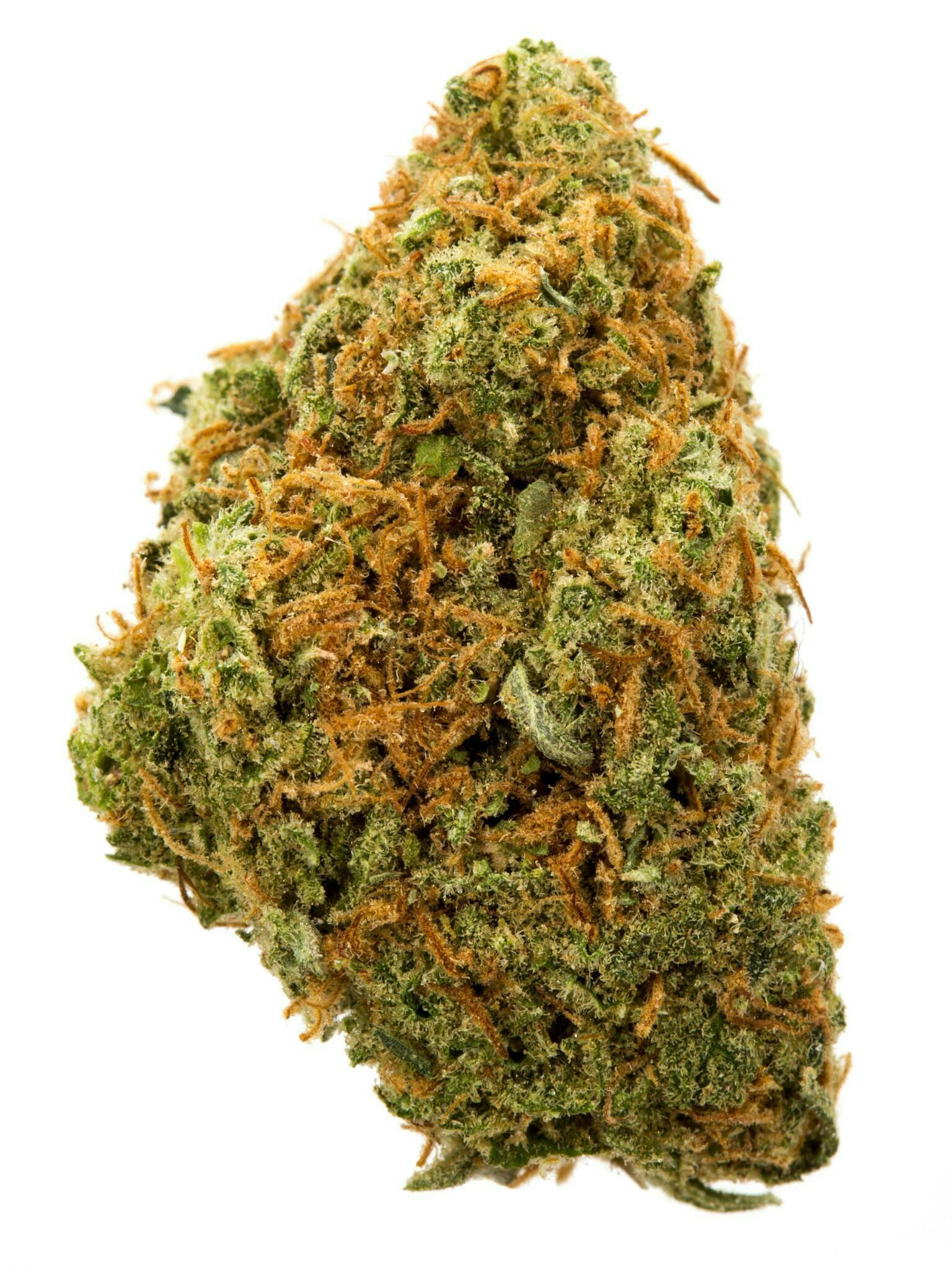 Honest Flower - Honest Flower | PURPLE PUSH POP | Big Buds | 3.5G - 1