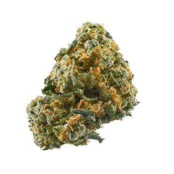 Honest Flower - Honest Flower | PLATINUM LEMON CHERRY | Big Buds | 14G - 1