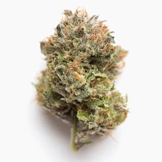 Honest Flower - Honest Flower | GELATO 33 BX1 | Big Buds | 3.5G - 1