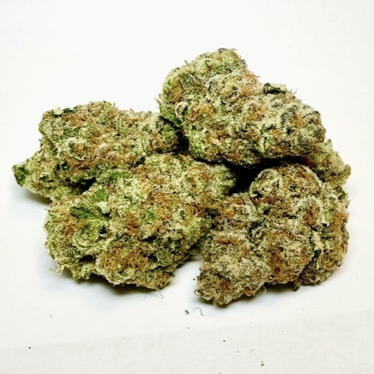 Antheia - GRAPE STREET PARK 1904 (H) 3.5G - 1