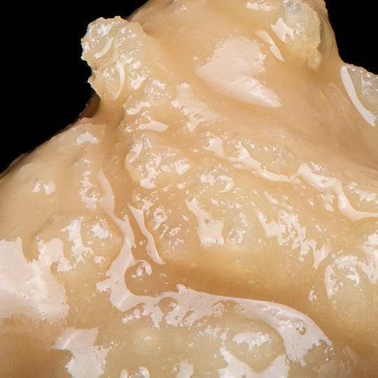 Have Hash - Candid Peaches Tier: 2 Private Reserve - 1