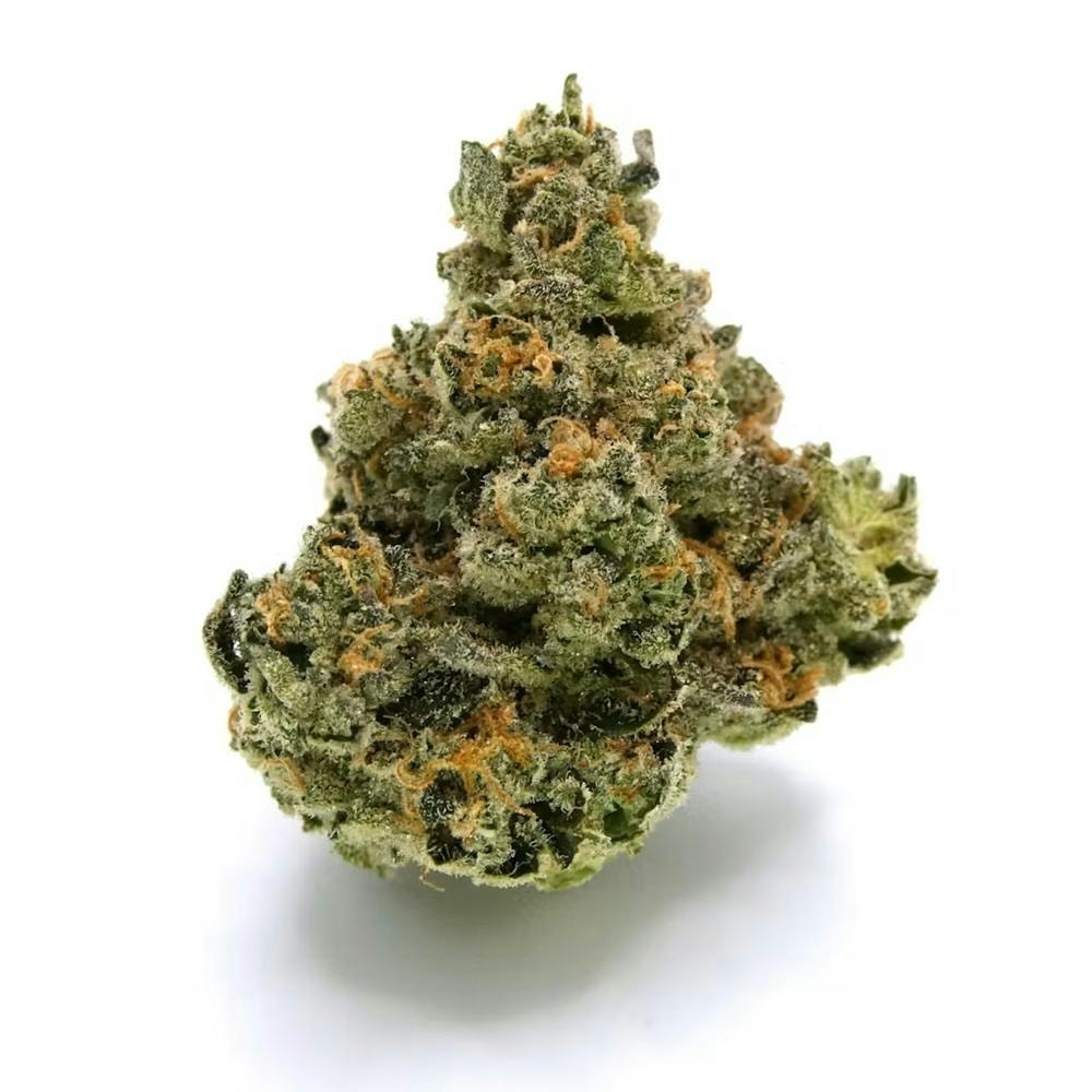 Avitas - Boofy Buds - 1