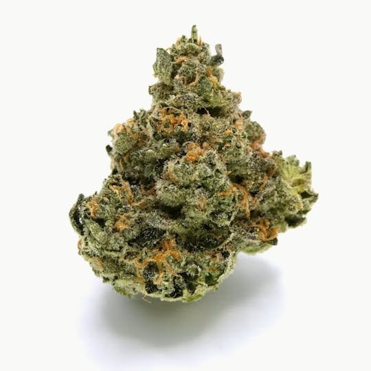 Avitas - Boofy Buds - 1