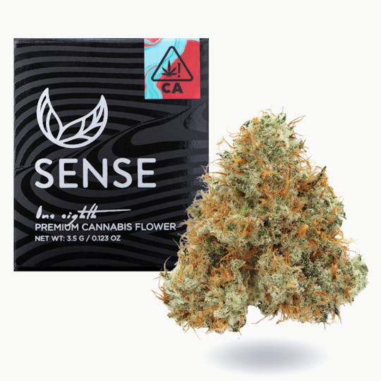 Sense - Northern Lights - 1
