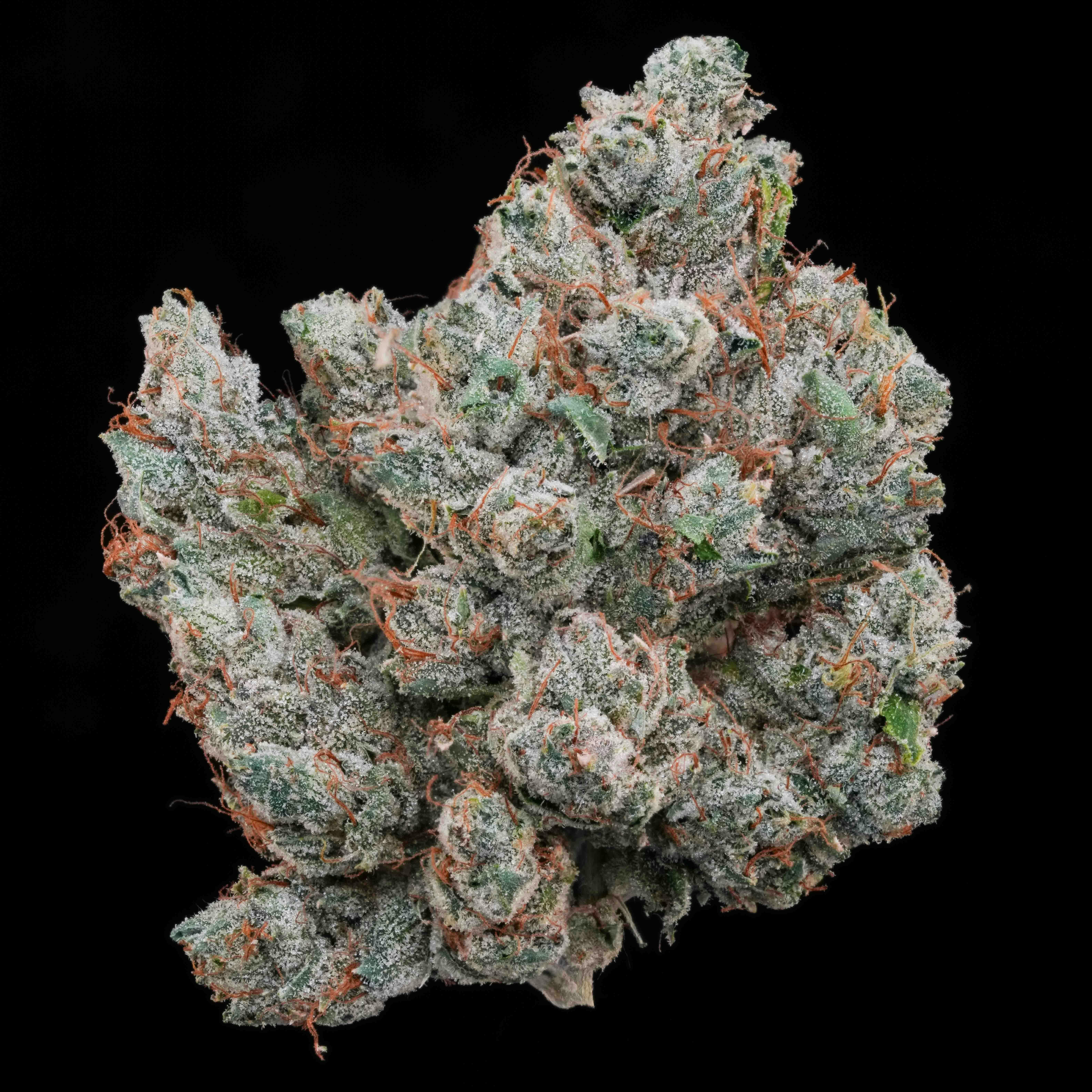 AETHER FIELDS - UFO-G // PREMIUM INDOOR BIGS - 3.5g - 1