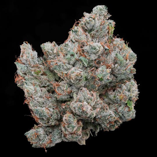 AETHER FIELDS - UFO-G // PREMIUM INDOOR BIGS - 3.5g - 1