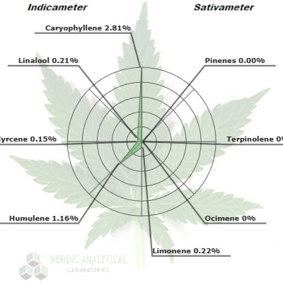 Ten Six Labs - Forbidden Zkittles - 4g Honey Wax - 1