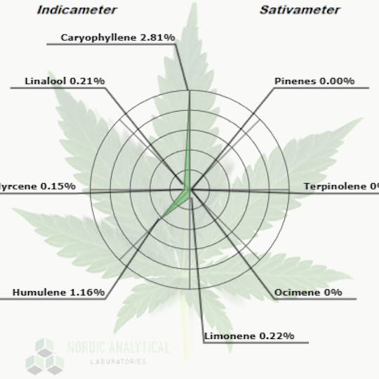 Ten Six Labs - Forbidden Zkittles - 4g - Honey Wax - 1