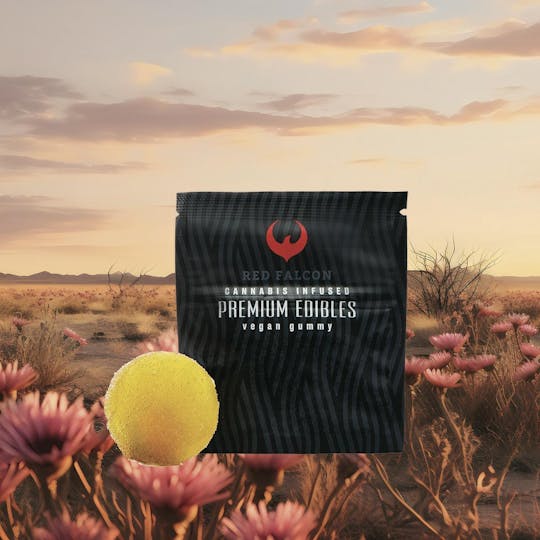 Red Falcon - RF | Ginger Gummy Coin 1pc | 100mg - 1