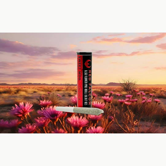 Red Falcon - RF | Sweet Moo | 0.5g Pre Roll - 1
