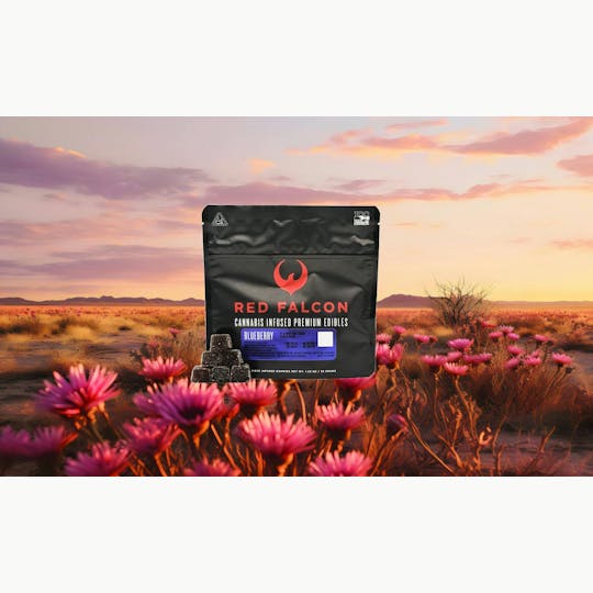 Red Falcon - RF | Blueberry Gummies 10pc | 100mg - 1
