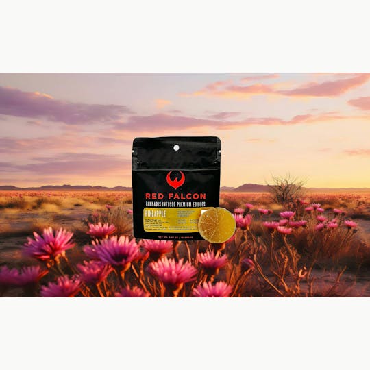 Red Falcon - RF | Pineapple Gummy Coin 1pc | 100mg - 1