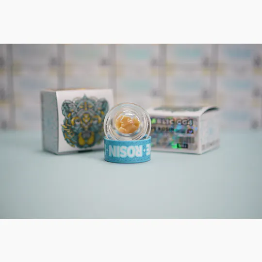 Bear Labs - BEAR Labs - Garlic GG4 - Rosin Tier 4 - 1