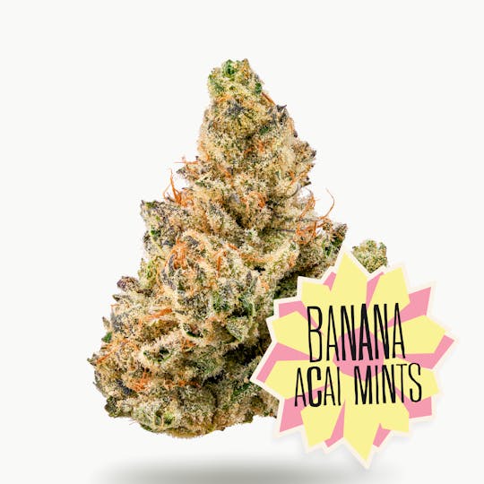 District Cannabis - Banana Acai Mints Flower - 1