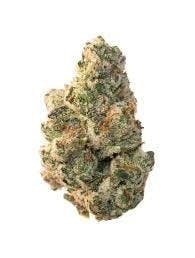 Baseline - Baseline | Baklava 14g - 1