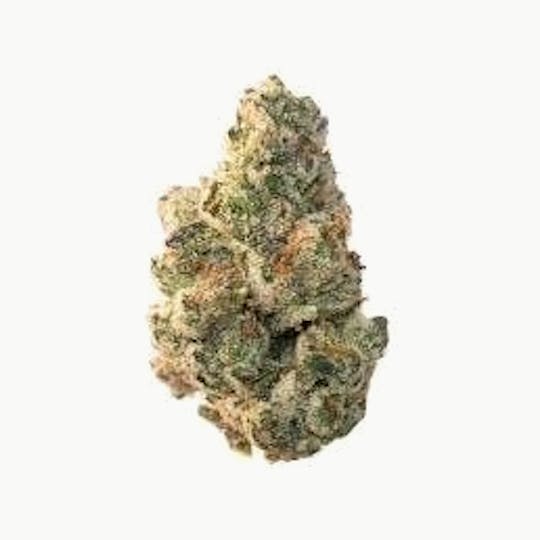 Baseline - Baseline | Baklava 14g - 1