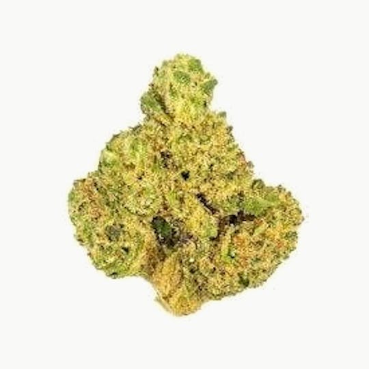 Baseline - Baseline | Mountain Glue 3.5g - 1