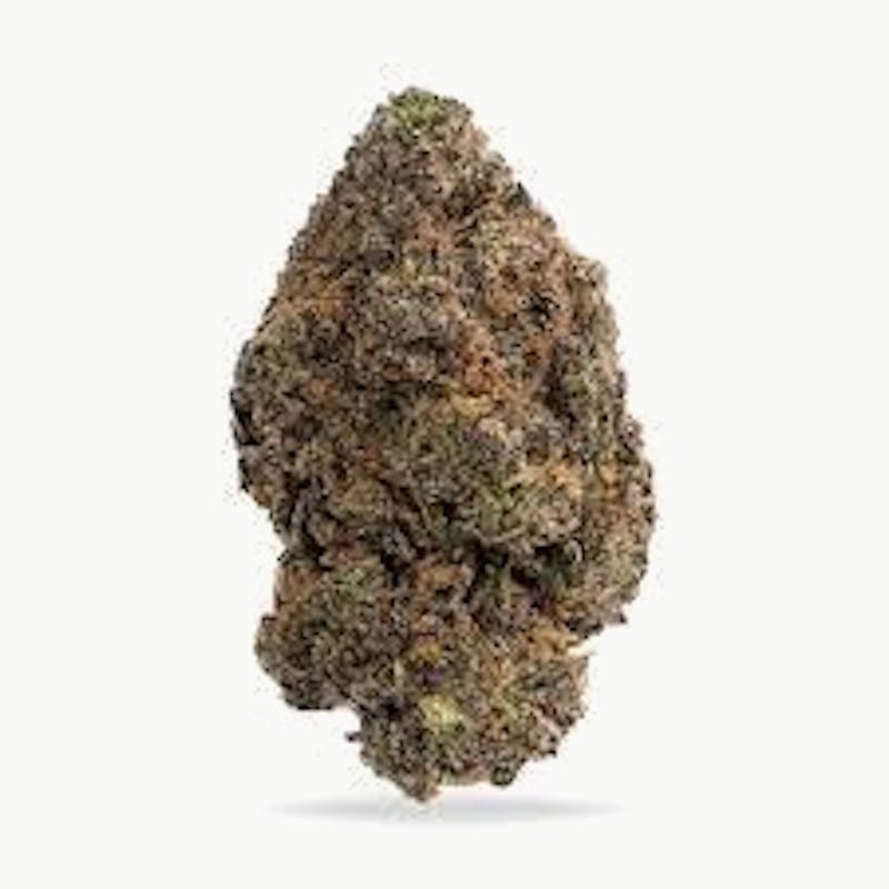 Baseline - Baseline | B Gush - 1