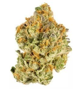 Baseline - Baseline | Gush Mints 14g - 1