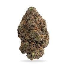 Baseline - Baseline | Poinsettia Fizz 3.5g - 1