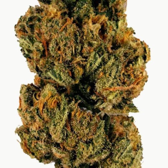 Baseline - Baseline | MAC 1 3.5g - 1