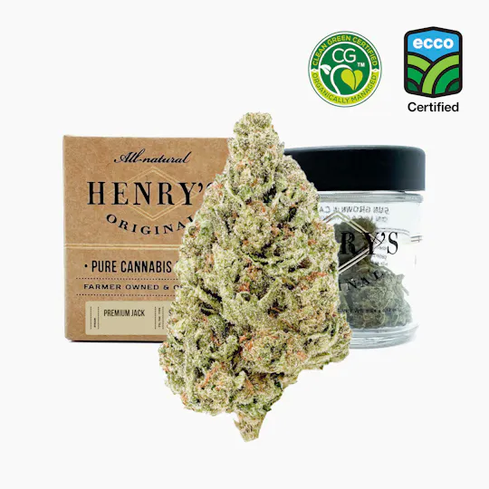 Henry's Original - Henry's Original | Premium Jack | Jar Big Buds | 3.5g - 1