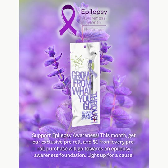 Bango Distribution - Donation Doobie 1.25g Pre roll - Cadillac Rainbow - 1