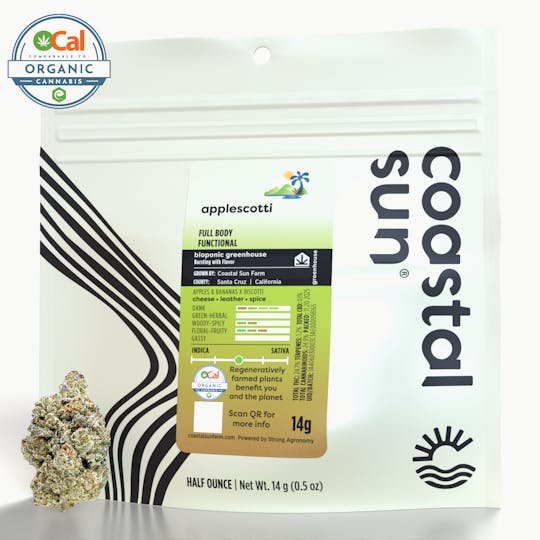 Coastal Sun - Applescotti Greenhouse Flower 14g - 1