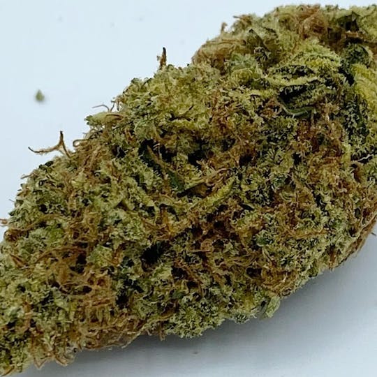 Worner Bros - Aurora Cookies Flower 1g - 1