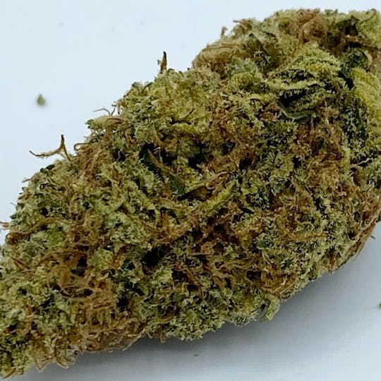 Worner Bros - Aurora Cookies Deli Flower 1g - 1