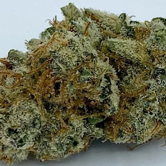 Worner Bros - Blue Dream Flower 1g - 1