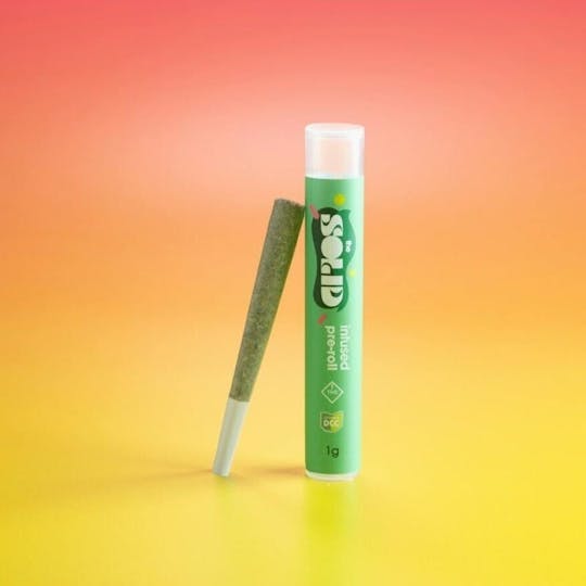 The Solid - The Solid - Cement Crunch Infused Pre Roll 1g - 1