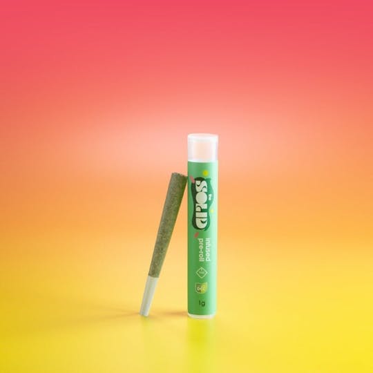 The Solid - The Solid - Permanent Marker x Cap Junk Infused Pre Roll 1g - 1