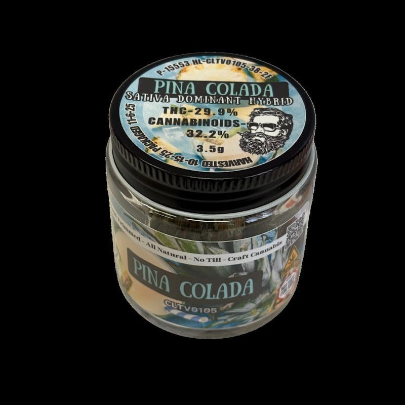 Bushy Beard Cultivation - Bushy Beard - Pina Colada 3.5g - 1