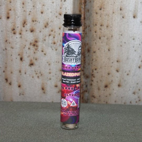 Bushy Beard Cultivation - Bushy Beard - Glazed Pastry Pre Rolls 1g - 1