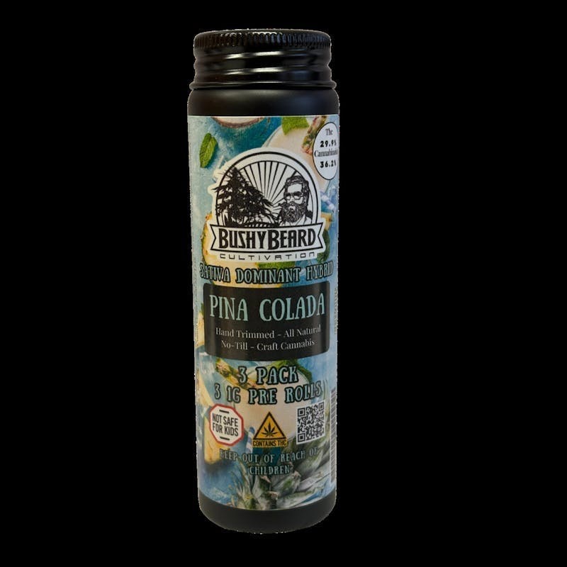 Bushy Beard Cultivation - Bushy Beard - Pina Colada Pre Rolls 3pk 1g ea - 1