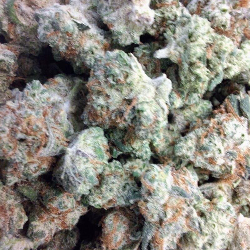 Bushy Beard Cultivation - Bushy Beard - Juggernaut Smalls 1g - 1