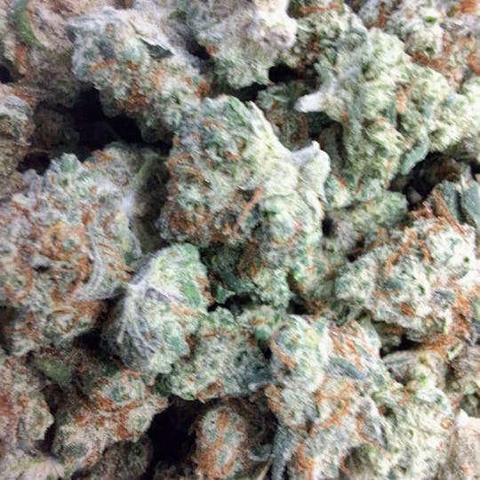 Bushy Beard Cultivation - Bushy Beard - Juggernaut Smalls 14g - 1