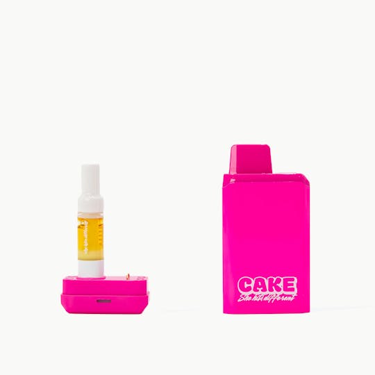 CAKE she hits different - Pink Secret Stash Battery - 1